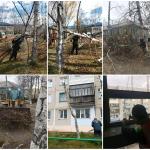 МУП «Янтарь ДВ»: информация о проведенных работах